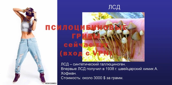 гидропоника Алзамай